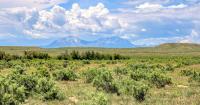 Business Spotlight: Join our team as a land broker at Cruikshank Realty