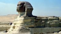 45-million-year-old crocodilian discovered in rocks beneath Egypt’s Great Sphinx