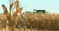 Tri-State governors take action on diesel tax relief this harvest season