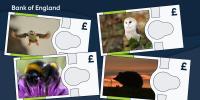 Bank of England unveils four animals set to appear on new banknotes