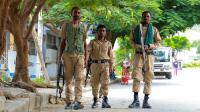 Church Leaders in Ethiopia Echo Papal Peace Call as War Returns to Tigray