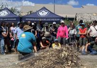 Coconut Rhinoceros Beetle (CRB) Community Day