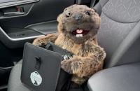 Kevin the Marmot Rolls Into the Car Wash with a Fresh ‘Simple As That’ Anti-Littering Message