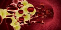 CV Referral in Prostate Cancer Lowers Cholesterol, But Not MACE Risk 