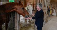Missouri Rancher Turns Horse Farm into Airbnb to Stay Afloat