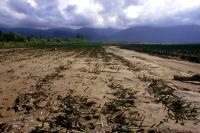 Africa Climate Forum Shifts Focus From Climate Pledges To Action