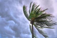 Pacific Typhoon Season Logs Storm in Every Month Since January, Rare 2015-Level Run