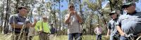 UF/IFAS, Florida Native Seed Partnership team up to offer seed harvesting certificate
