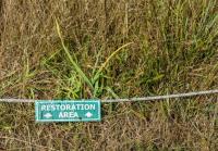 Minnesota Restoration Project Targets Habitat and Water Quality