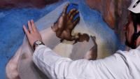 Pope to art patrons: Be open to Beauty and foster contemplation
