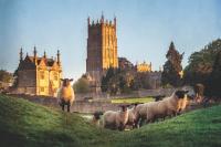 How sheep farming transformed the architectural face of the Cotswolds