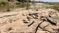 Despite legacy court case, Zambian Vedanta mine pollution continues