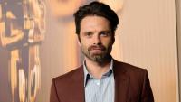 Did Sebastian Stan Romanian Roots Fuel His Rise?