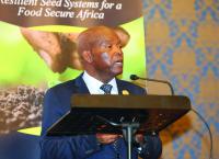 AU commissioner backs seed bank