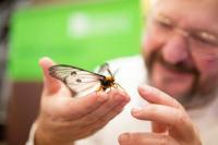 Bristol spinout uses moth-wing science to transform future of soundproofing and acoustic engineering