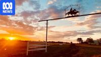 NT environmental regulator has 'low confidence' in plan for outback data centre