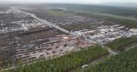 Google halts work on data centres as Finnish police probe suspected illegal logging