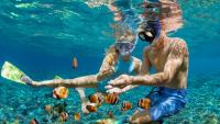 The Best (And Worst) Months For Snorkeling In The Caribbean