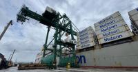 Port starts formal review of crane collision, recovery continues