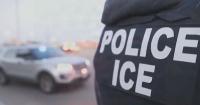 A study reveals that electric gloves purchased by ICE cause intense pain and fatigue
