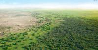 UN Unveils $78m Lifeline For Africa’s Great Green Wall
