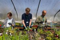 The Bedford College Group cuts carbon emissions by 20% in a year, and 43% since 2018-19, despite a growing estate