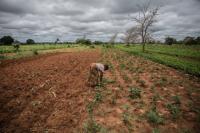 Africa can see El Niño coming – will countries act in time?