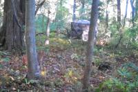 New Jersey Bobcat Caught on Trail Camera [VIDEO]