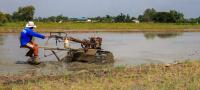 Southeast Asia’s Food-Security Worries Are Falling, But Not the Risks
