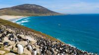 How a multibillion-dollar oilfield has ignited UK-Argentina feud over the Falklands