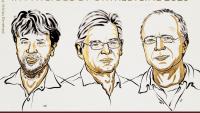 Shining light on the brain: The 2026 Nobel Prize in Medicine