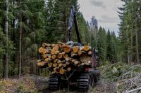 Finnish Regulator Orders Halt to Google Data Center Land-Clearing Project Pending Environmental Reviews