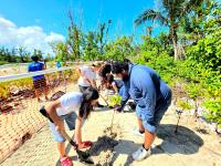 NMC Students Reclaim the Coast with A New Mangrove Planting Initiative