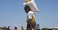 Yemen: Residents of Taiz fear food supply shortages amidst the siege