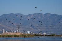 Salt Lake City Council members agree to slow down sale of land near Great Salt Lake to the state
