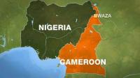 Cameroon Commits to Stronger Bilateral Ties with Nigeria