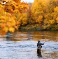 Virginia Trout Stocking