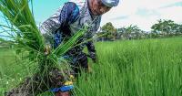 Cebu maps water sources as El Niño looms