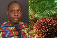 Ghana faces 150,000-tonne annual palm oil supply gap– OPDAG