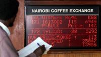 Nairobi coffee auction sales rise 27% to US$6.78M