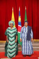Nine envoys set out plans to deepen ties with Namibia
