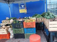 Analysis: Curaçao’s Food Security: Why the Cheapest Food Is Not Always the Best Choice