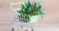 Tilray revenue rises as beverage business drives record quarterly...
