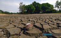 Business : Agri-commodity Disaster Fund Among Main Initiatives In Budget 2027 -- KPK