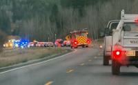 Motorcyclist flown to hospital after hitting bear near Swan Valley
