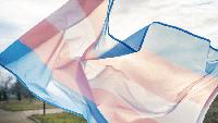 Arkansas Organizers Step Up for Latinos Who Identify As Trans