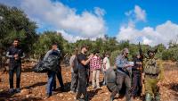 Israel Katz orders administrative removal of left-wing activists ahead of West Bank olive harvest