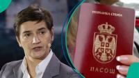 Serbia lists 4 ways foreigners can acquire Serbian citizenship by admission