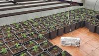 Nearly 50 Arrested as Police Target Western Balkan Drug Network