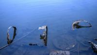 Advocates ask Washington State Department of Ecology to help with Round Lake cleanup